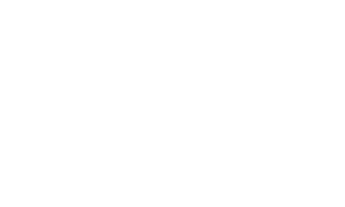 ZIGHT | Client logo (Veolia)